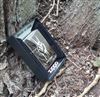 Гравировка на зеркальной Zippo 250